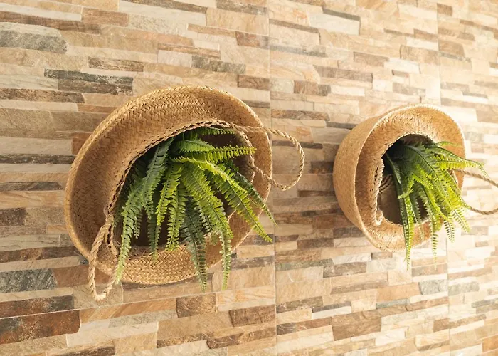 Picnic Dreams Boutique Hostel